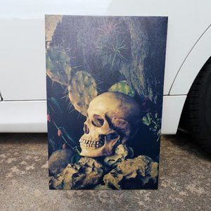 Skull in Nature Canvas